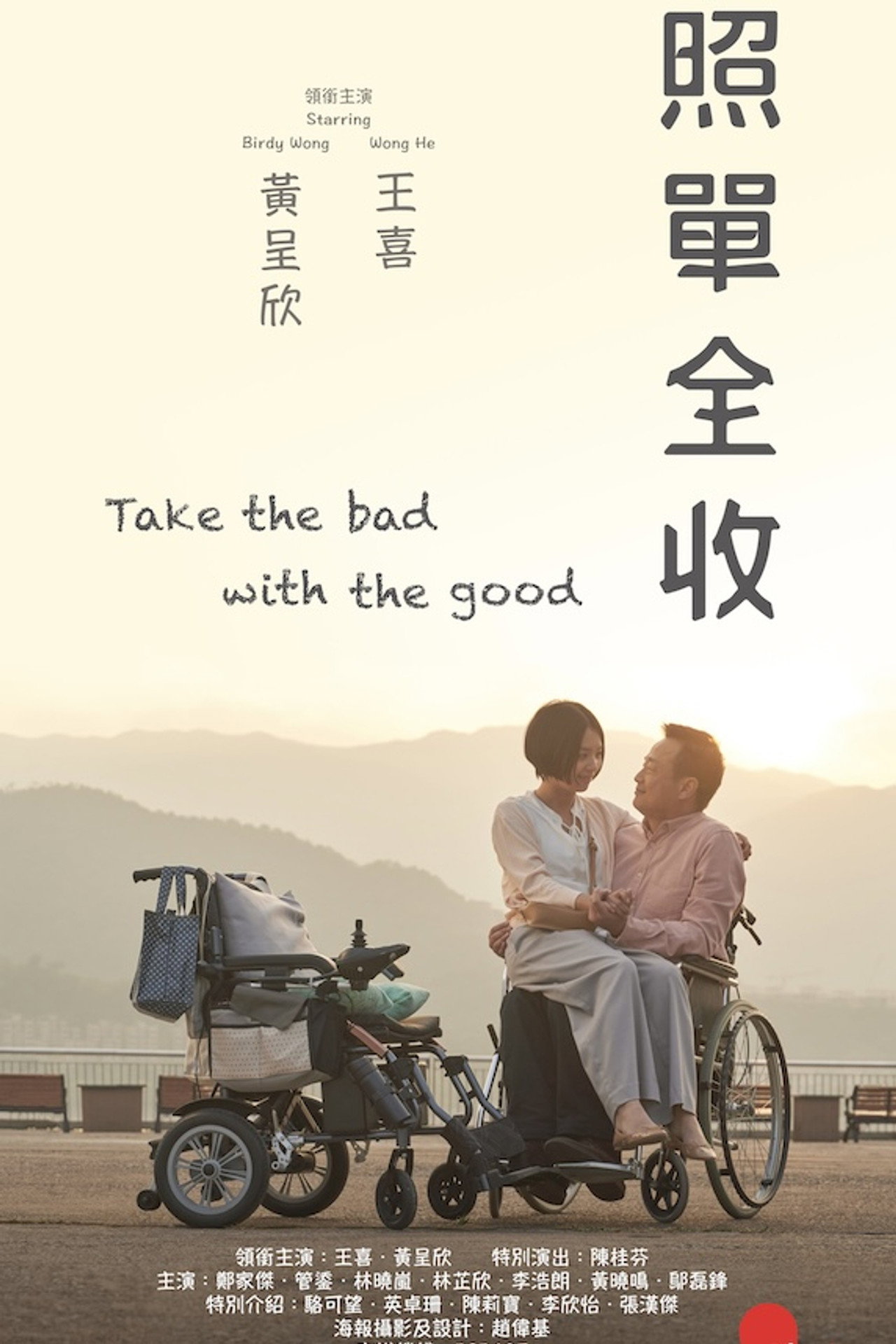 照單全收 filmaffisch
