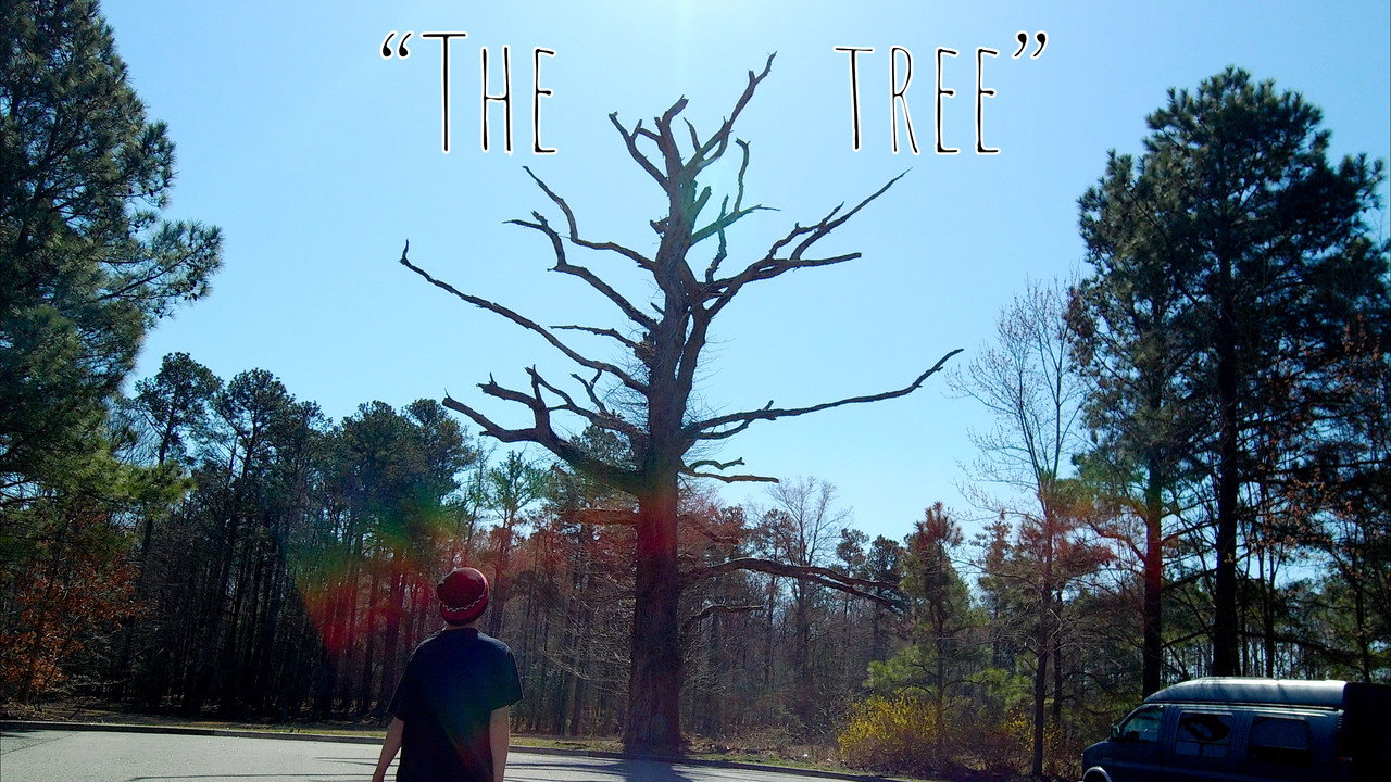 The Tree