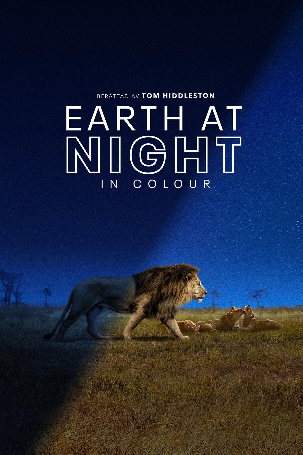 Earth at Night in Colour affisch