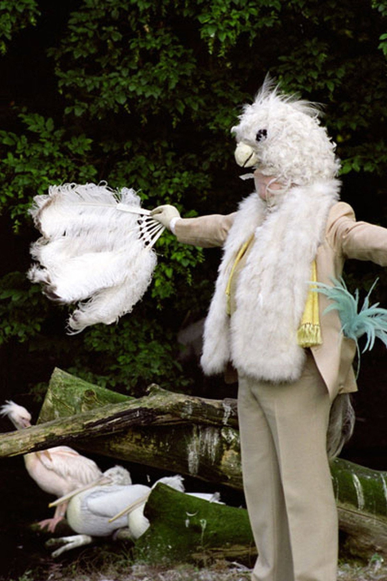 Charming for the Revolution filmaffisch