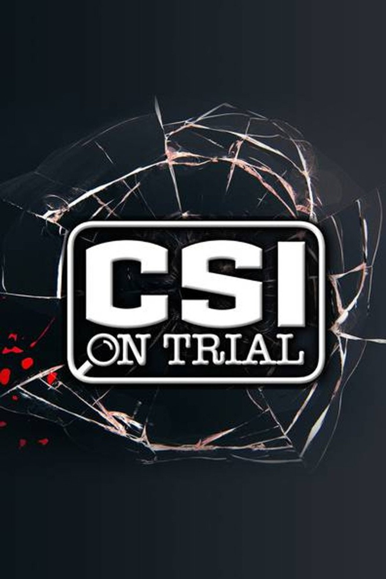 CSI on Trial affisch