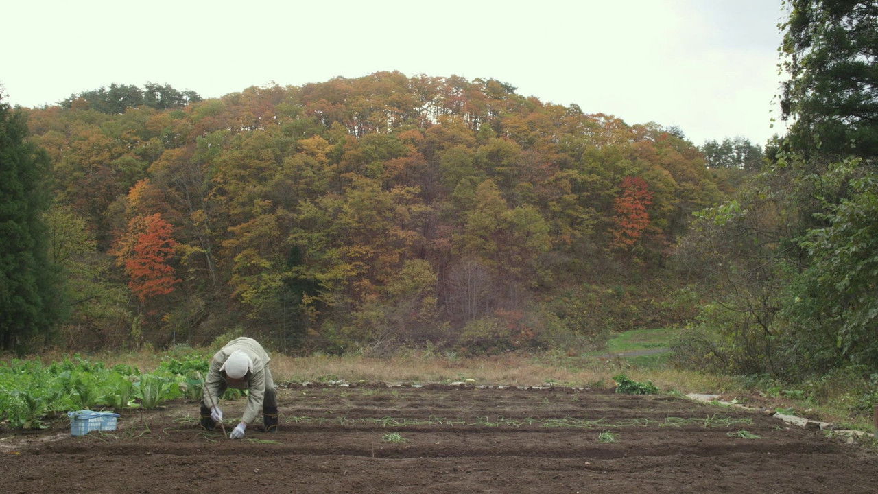 Little Forest: Winter/Spring backdrop