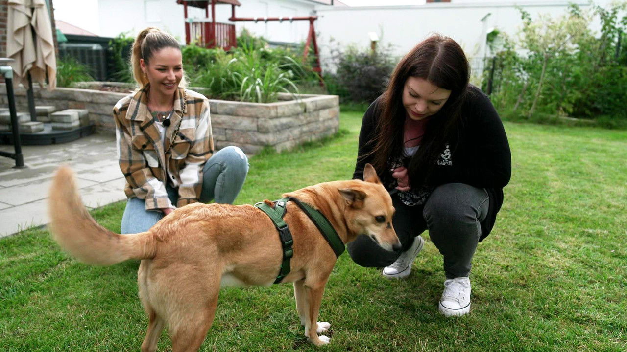 Die Unvermittelbaren - mit Martin Rütter — Épisode 5