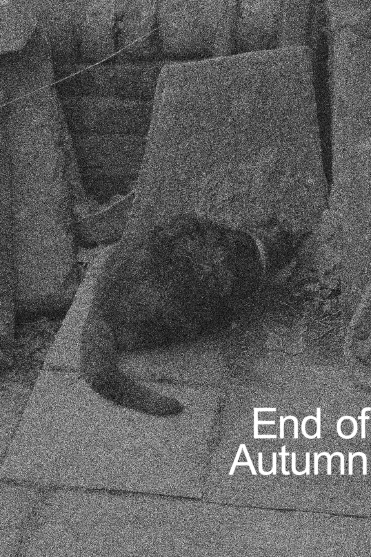 End of Autumn poster