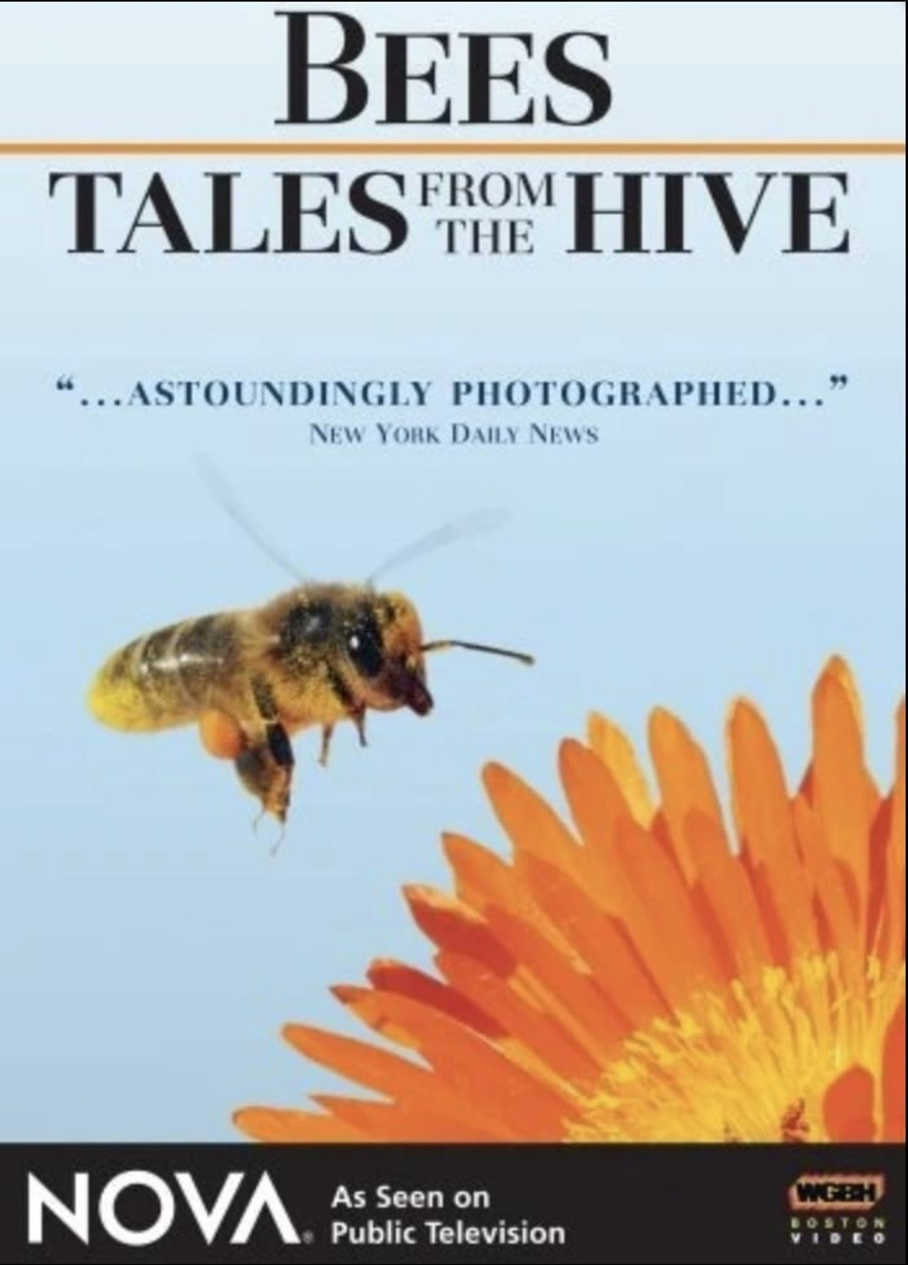 Bees - Tales from the Hive filmaffisch