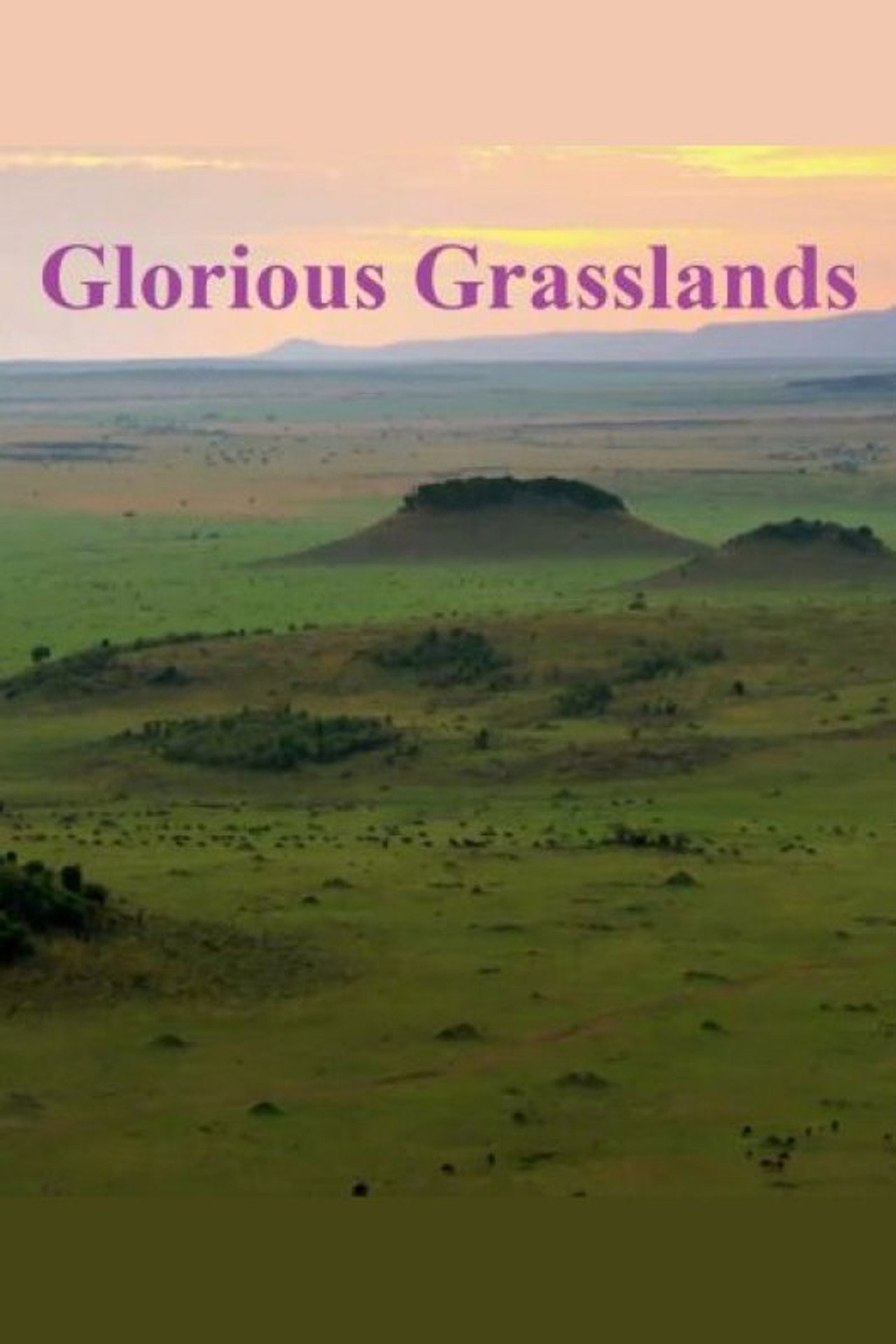 Glorious Grasslands Backdrop