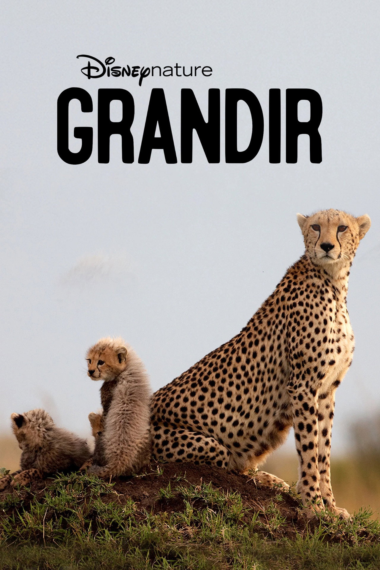 Grandir