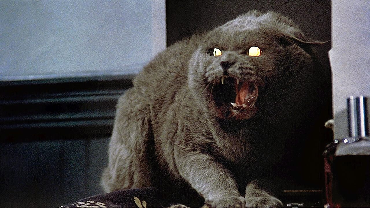 Pet Sematary (1989)