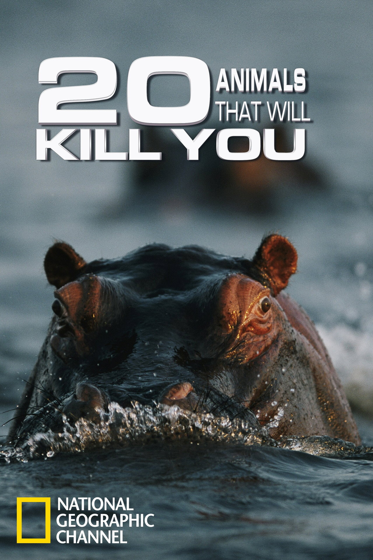 20 Animals That Will Kill You filmaffisch
