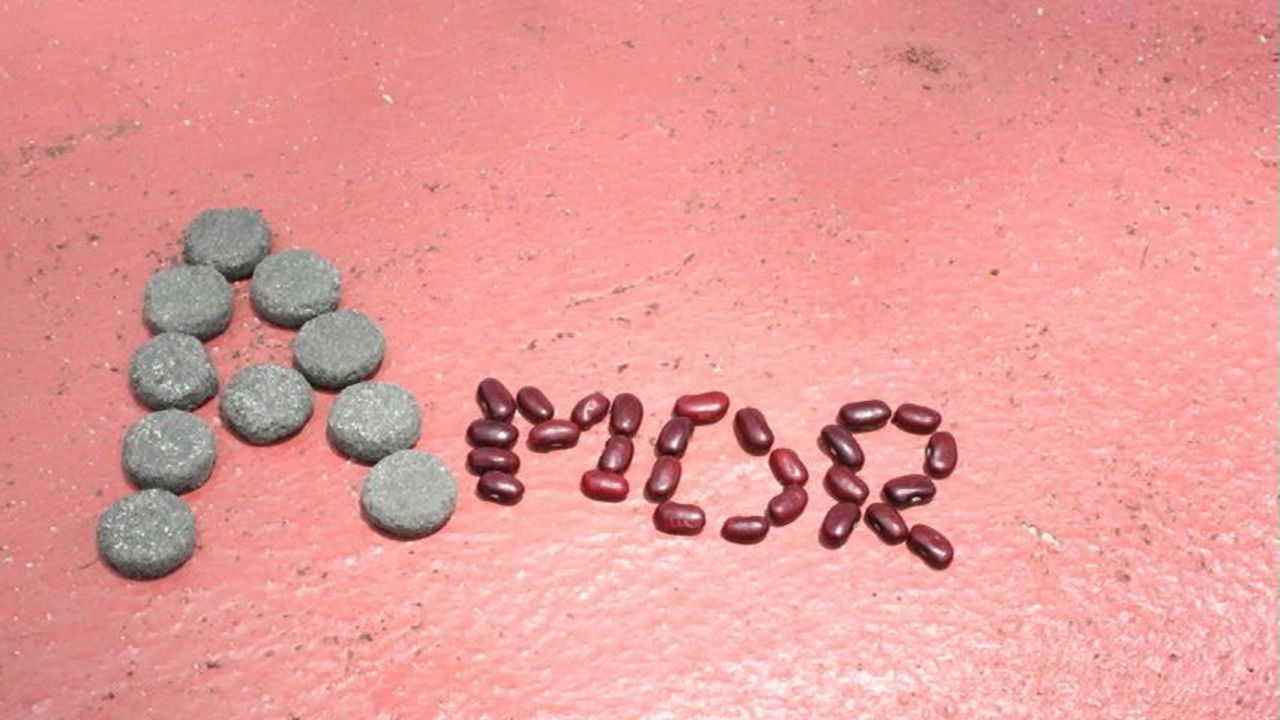 Metropolis — Épisode 4