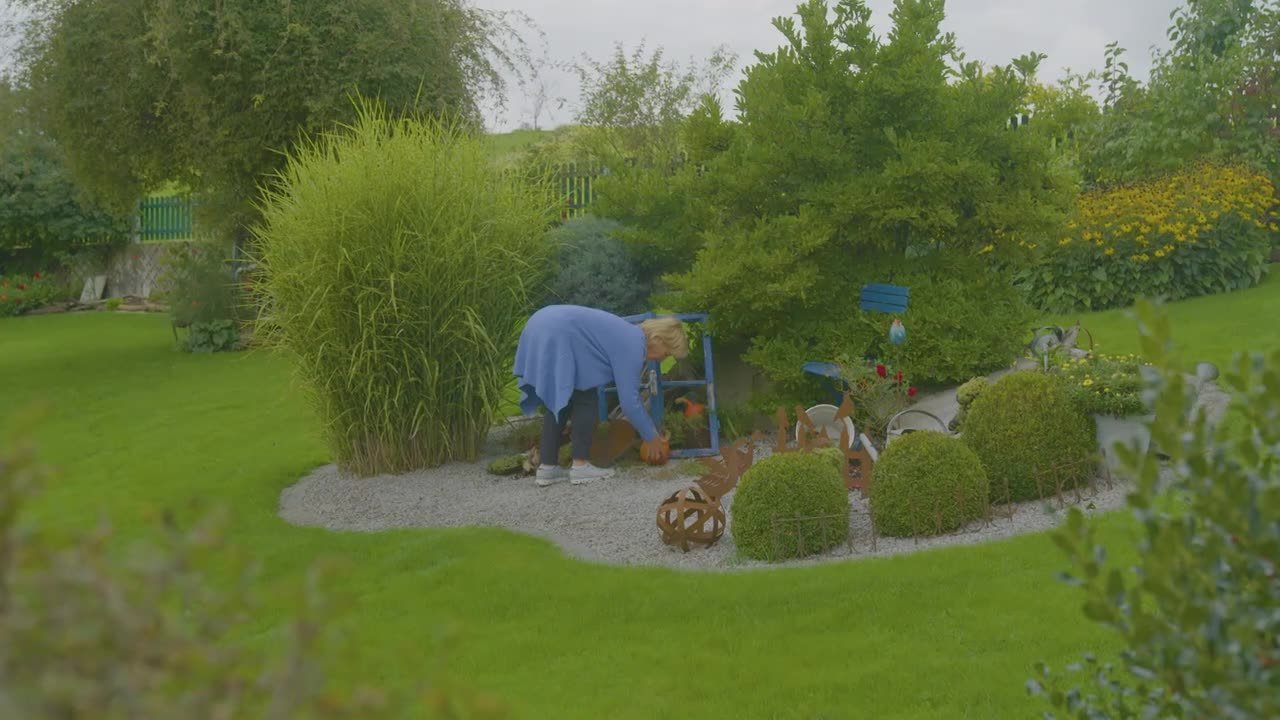 Natur im Garten - Season 25 Episode 17 : Episode 17