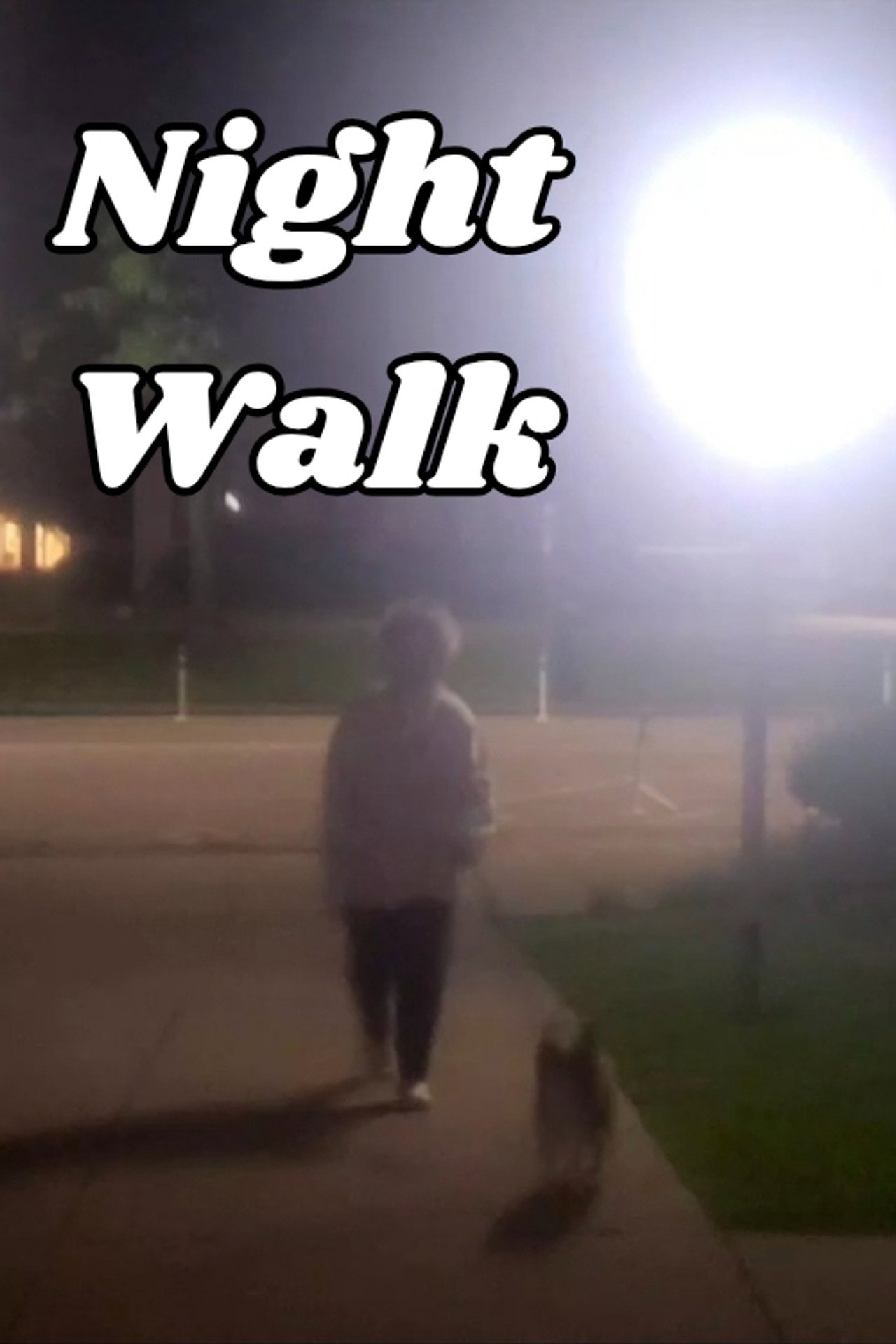 Night Walk filmaffisch