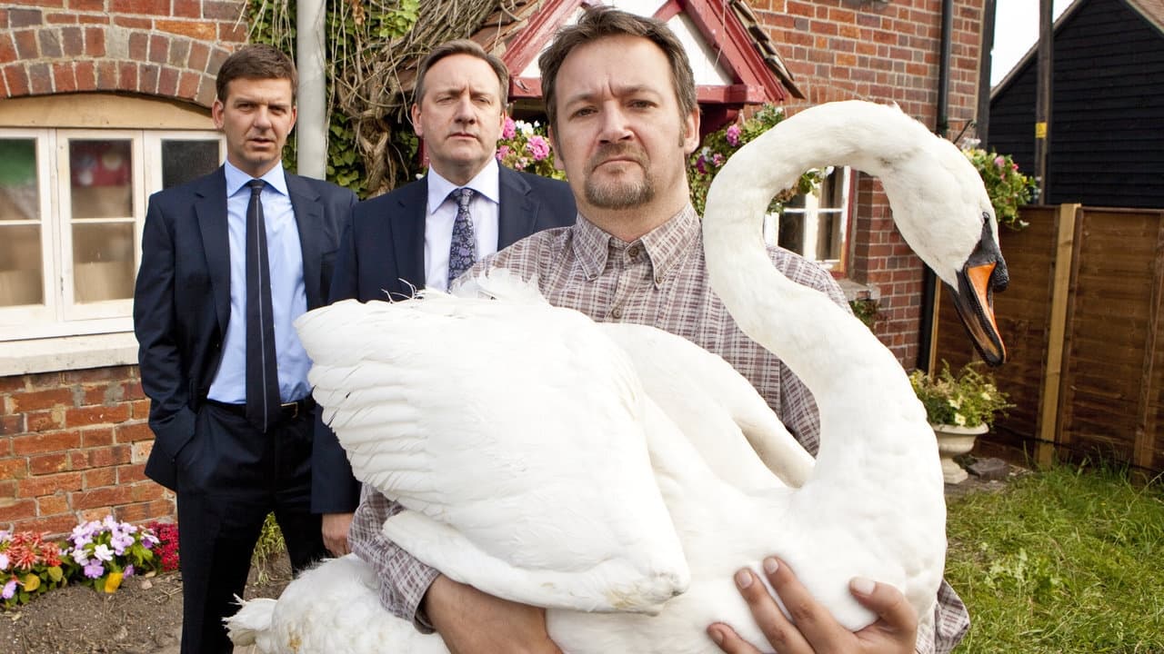 Midsomer Murders - Season 14 Episode 8 : A Rare Bird