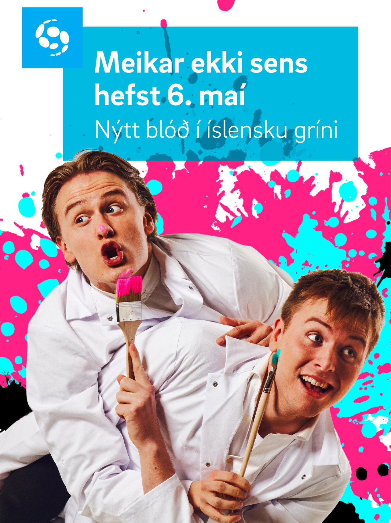 Meikar Ekki Sens affisch