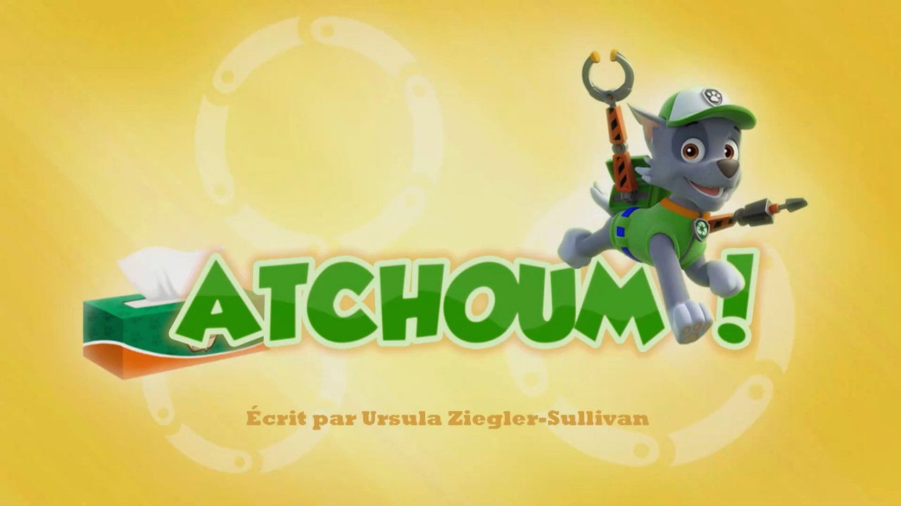 La Pat' Patrouille — Atchoum !