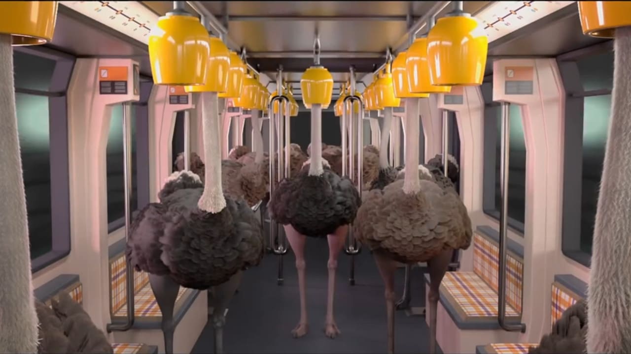 Ostrich Politic Backdrop Image