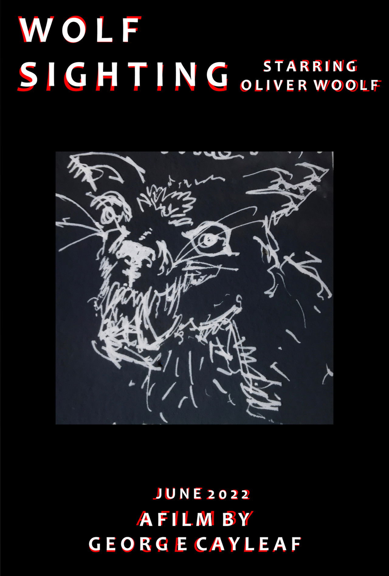 Wolf Sighting Backdrop