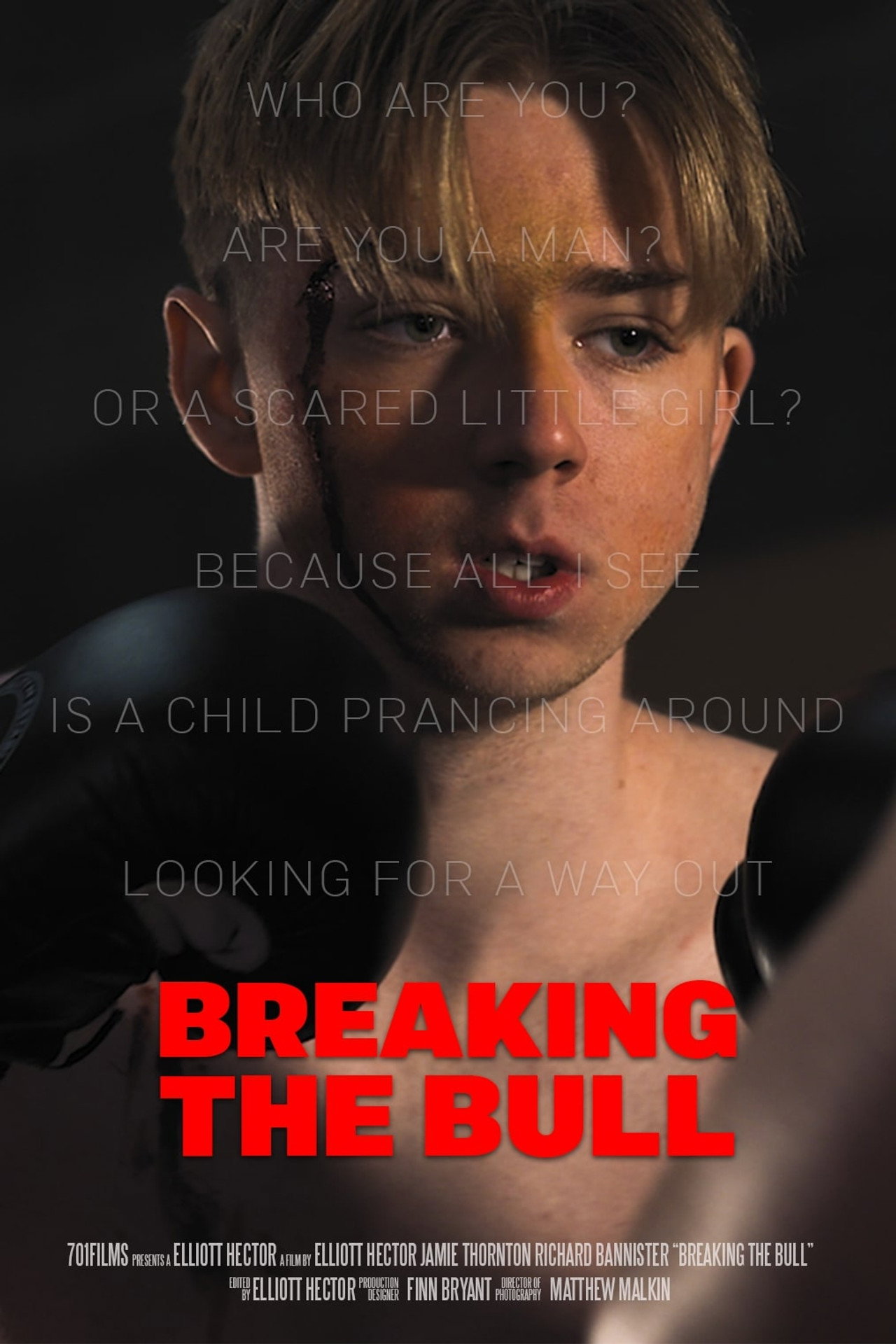 Breaking the Bull filmaffisch