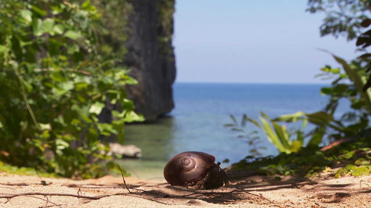 Robinson - Season 27 Episode 40 : Episode 40