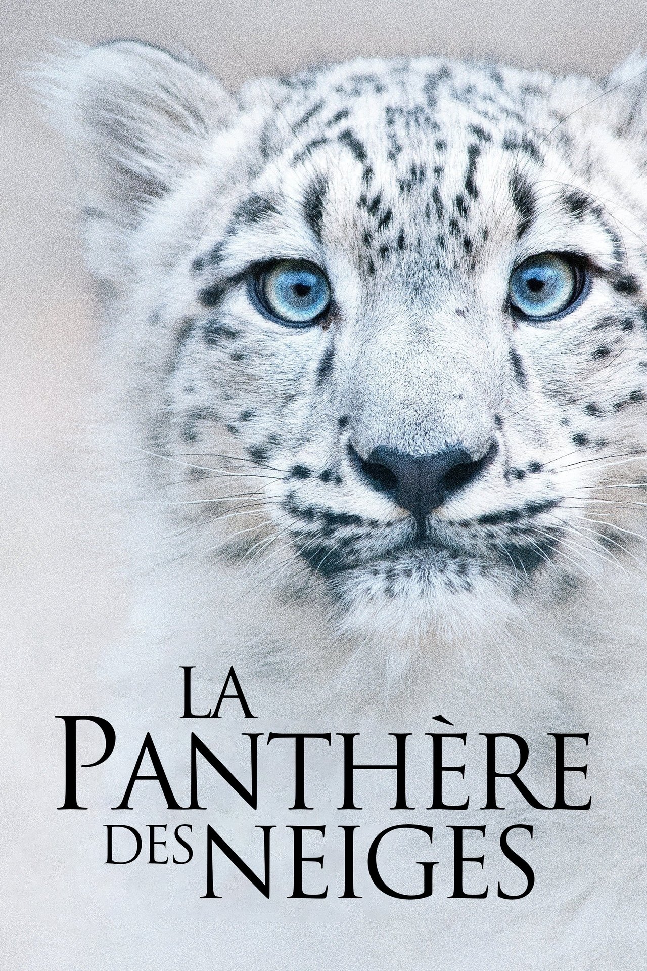 La Panthère des neiges poster
