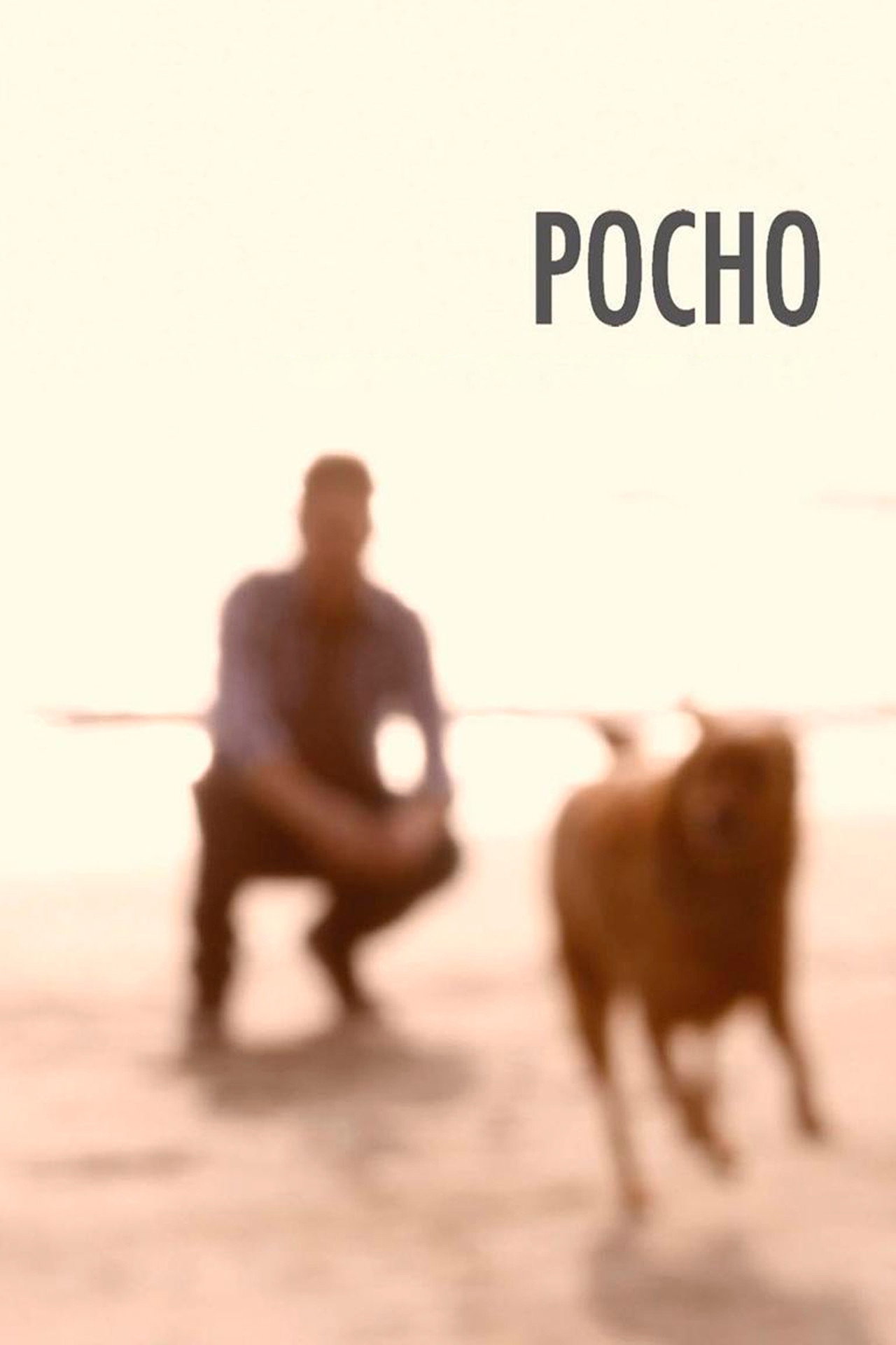 Pocho