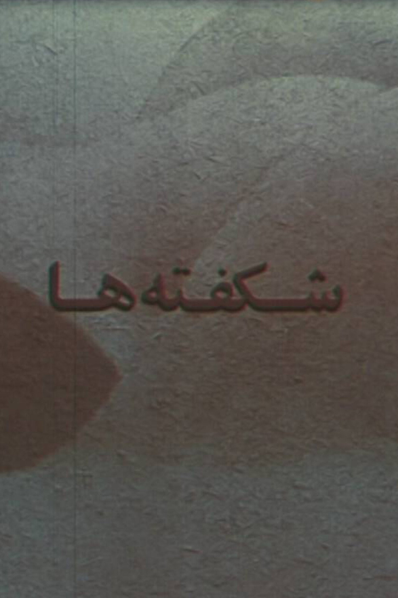 شکفته ها filmaffisch
