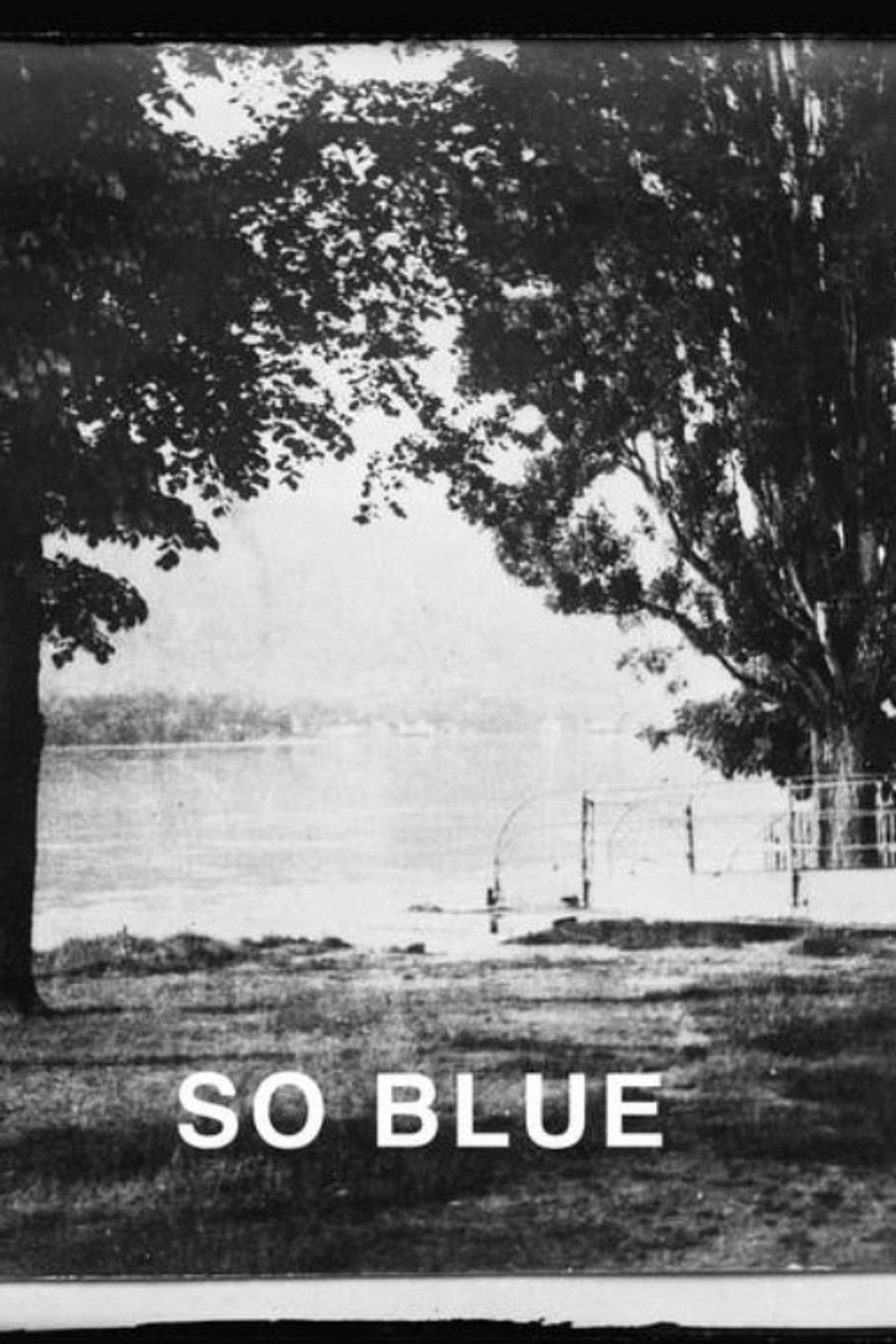 The Danube so Blue