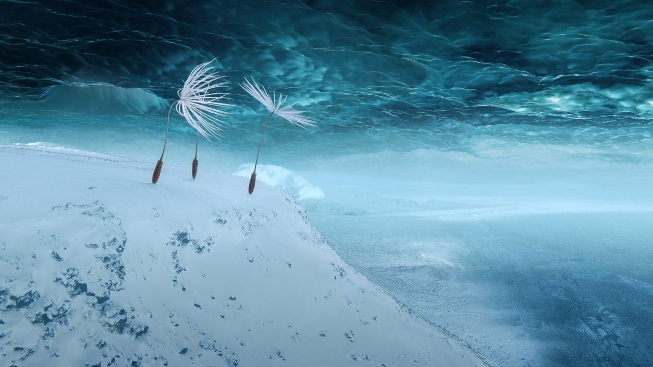 Dandelion's Odyssey backdrop
