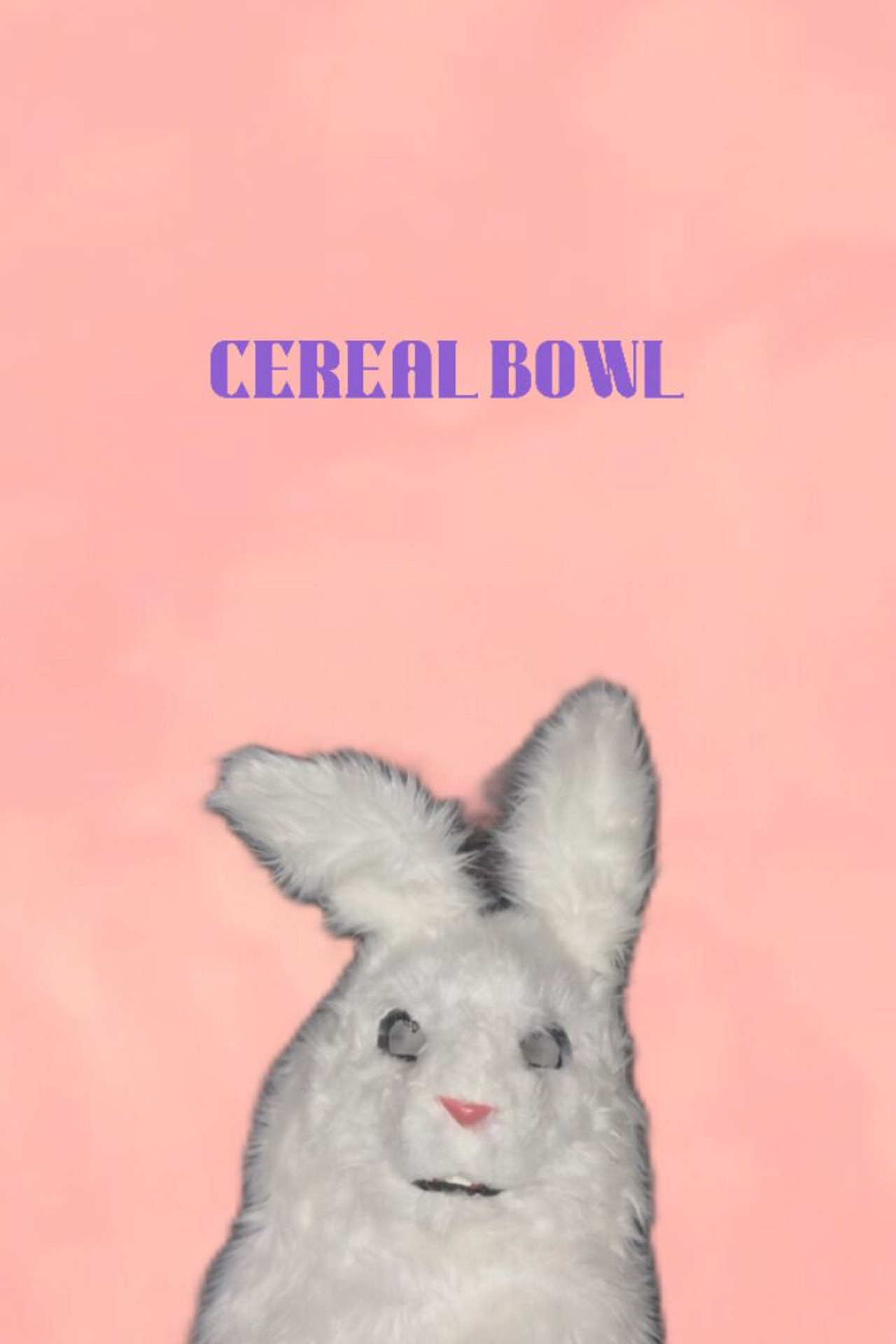 Cereal Bowl Backdrop