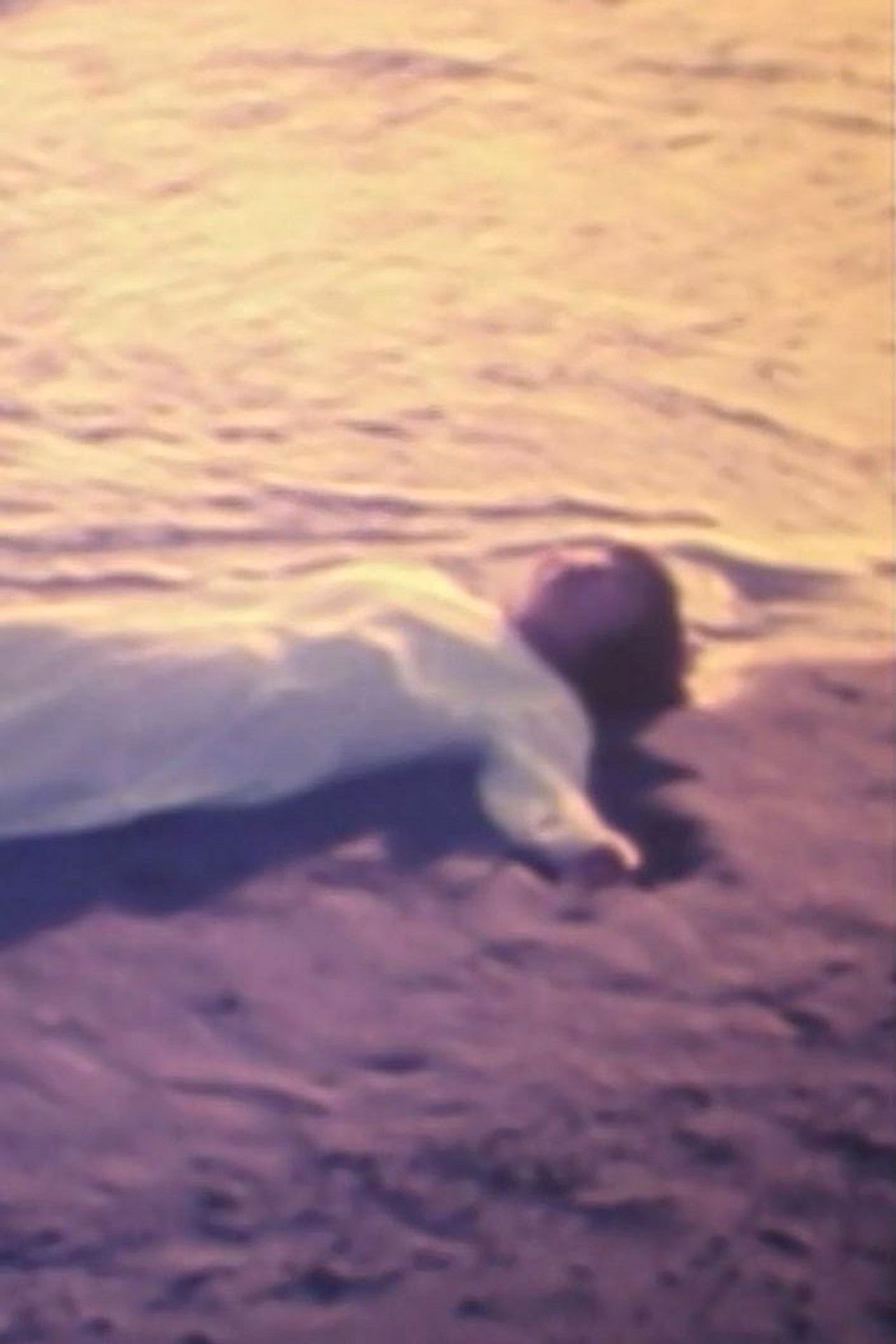 The Flower from the Sea Backdrop