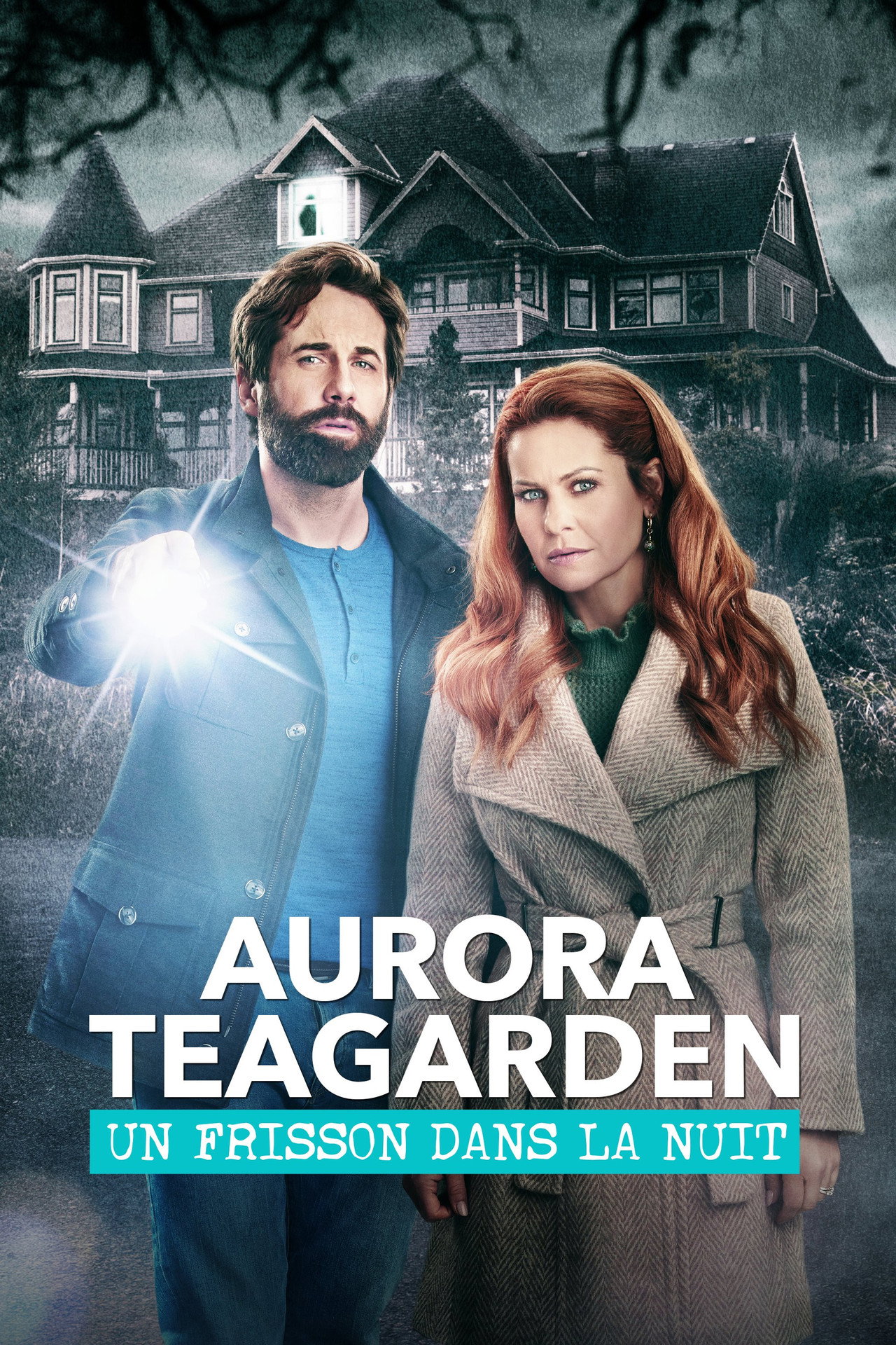 Aurora Teagarden : Un frisson dans la nuit poster