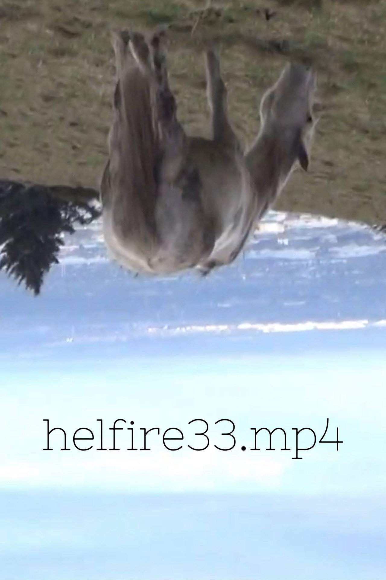 hellfire33.mp4 filmaffisch