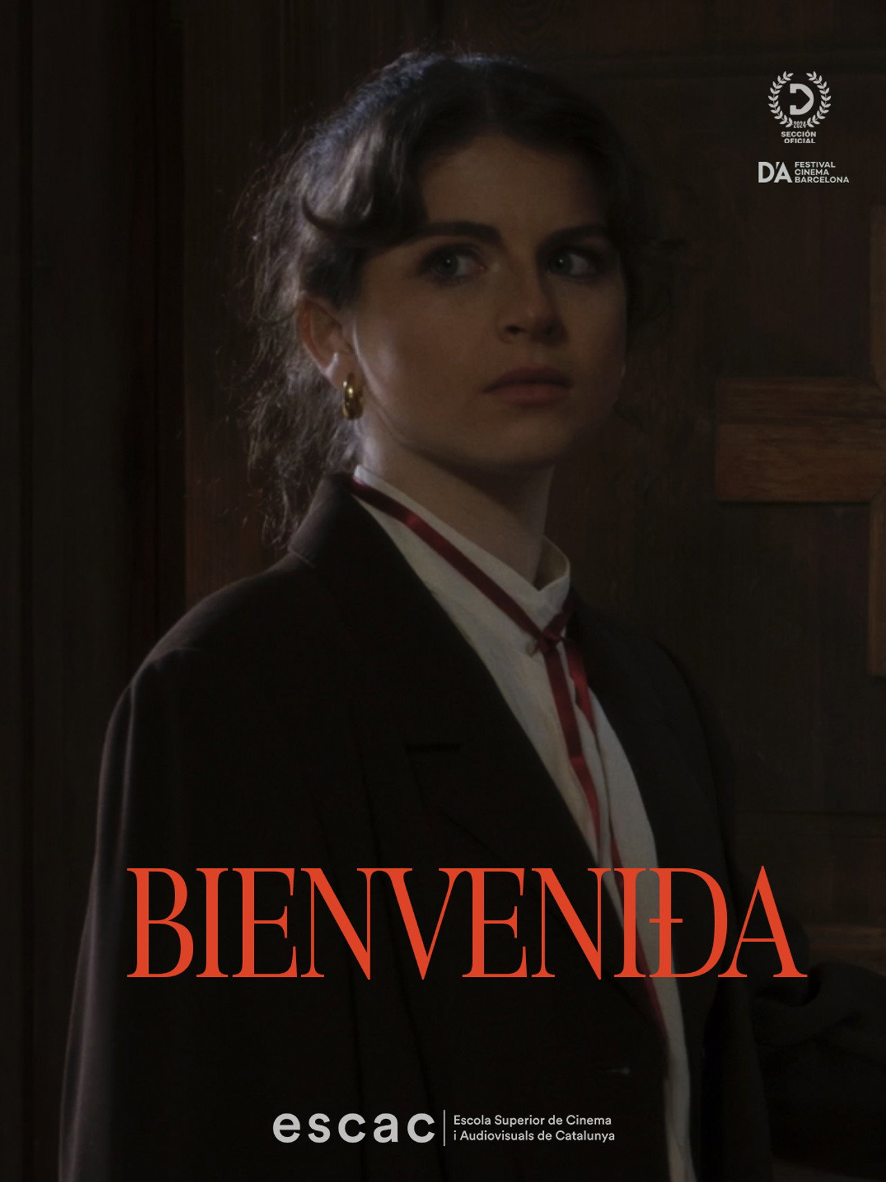 Bienvenida filmaffisch