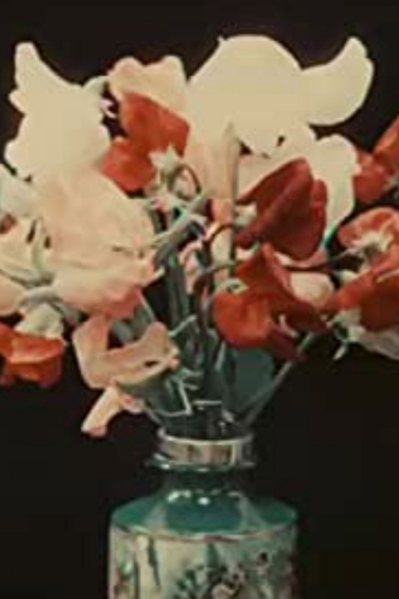 Varieties of Sweet Peas filmaffisch