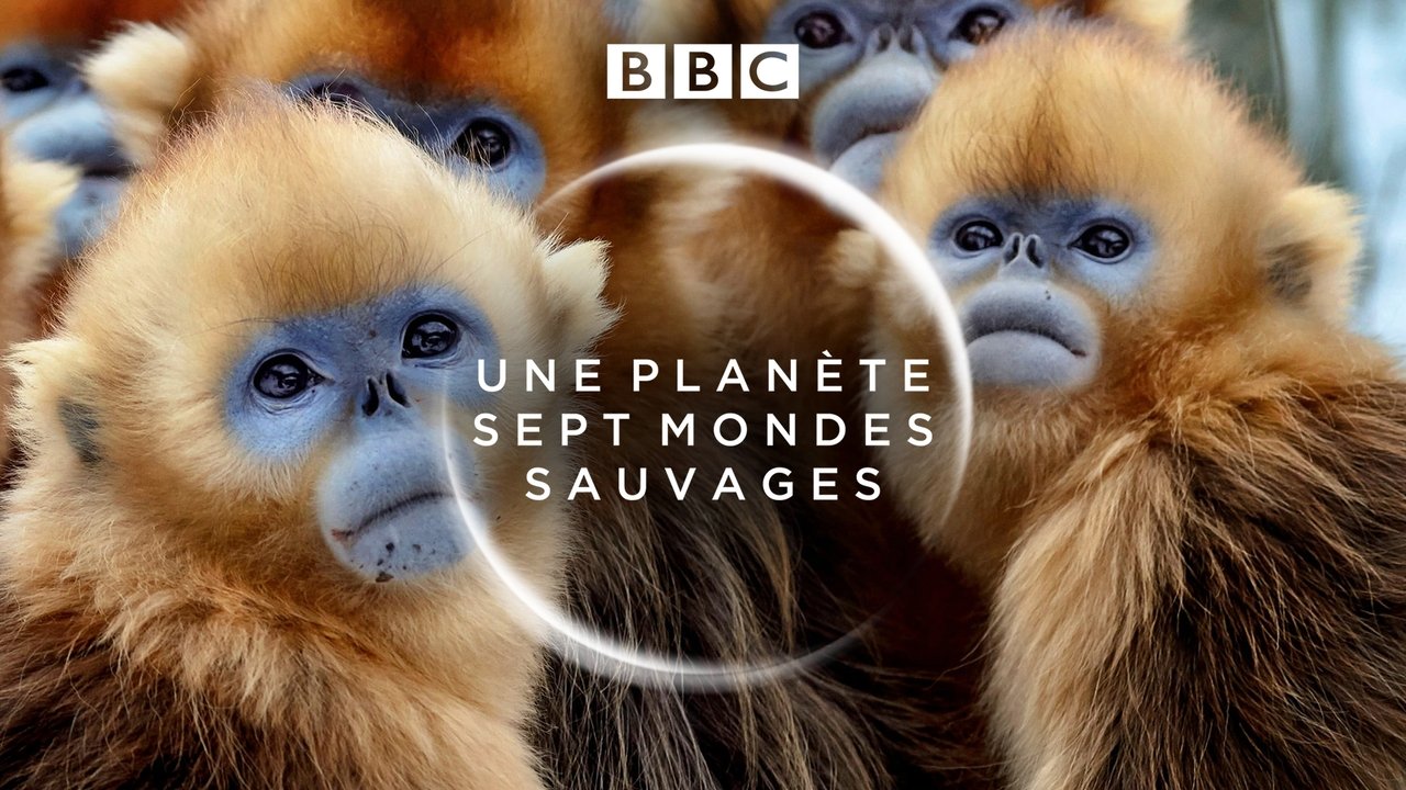 Une planète, sept mondes sauvages background