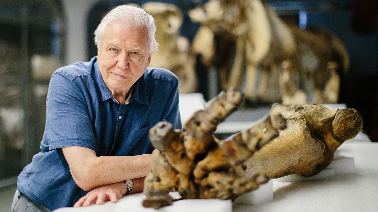 Scen från Attenborough and the Giant Elephant