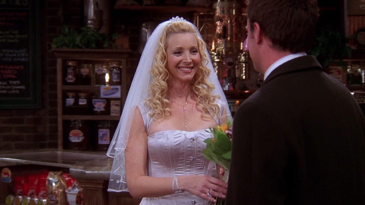Friends - Season 10 Episode 12 : The One with Phoebe's Wedding