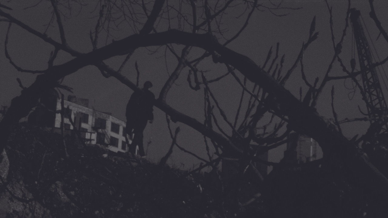 Dedicated to the One Eye Love