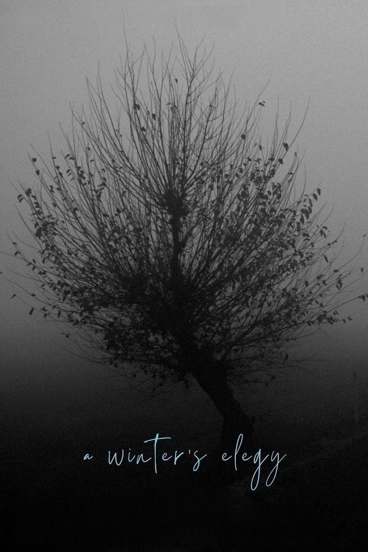 A Winter’s Elegy filmaffisch