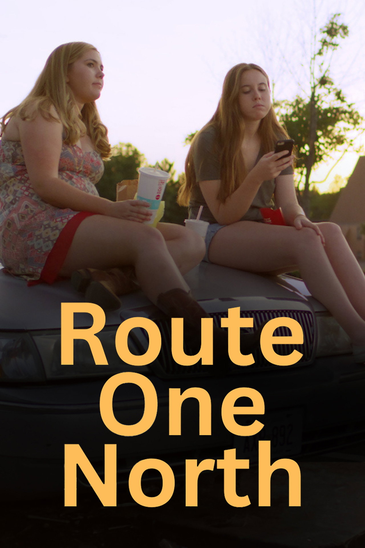 Route One North Backdrop