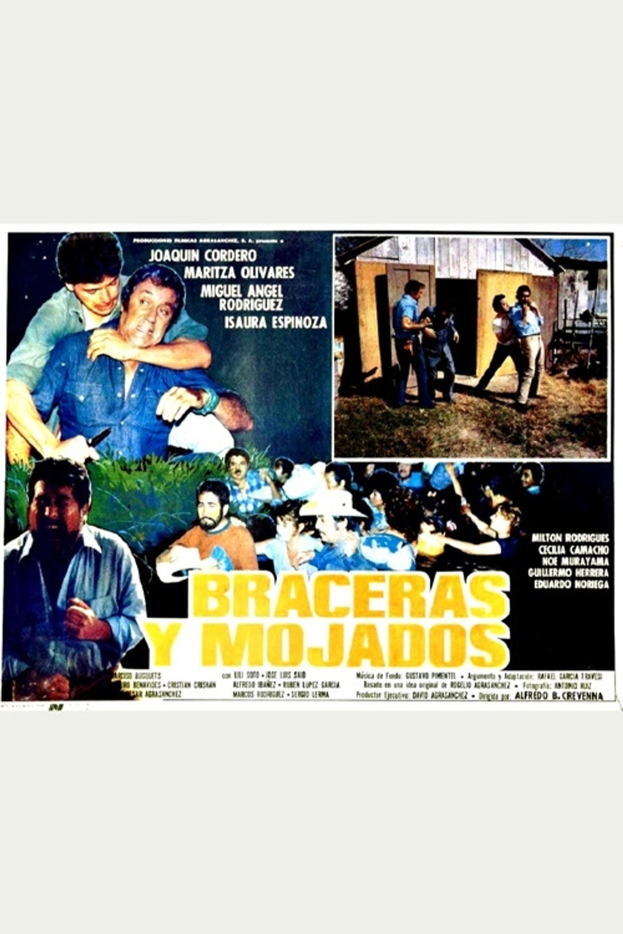 Braceras y mojados