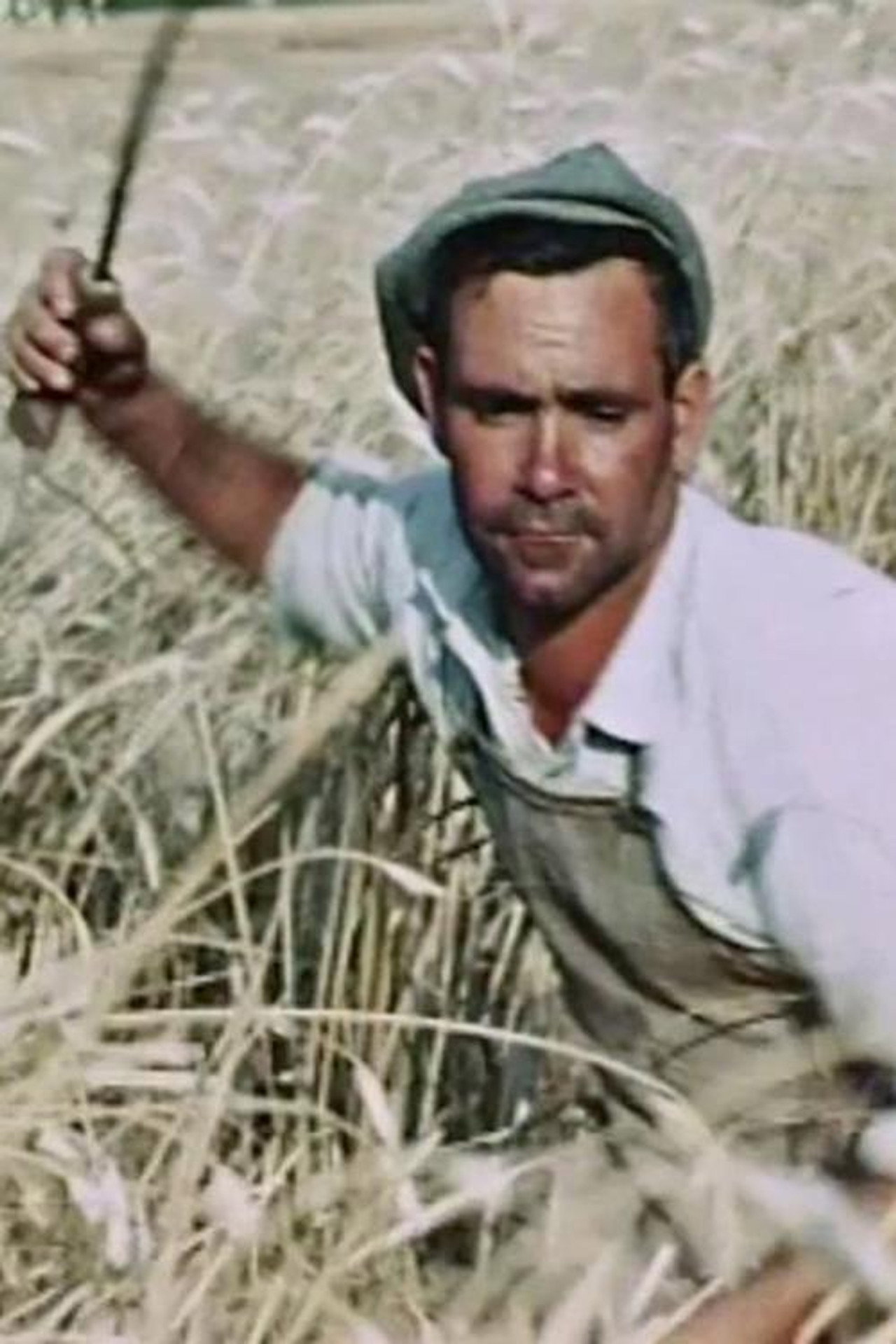 La passione del grano filmaffisch