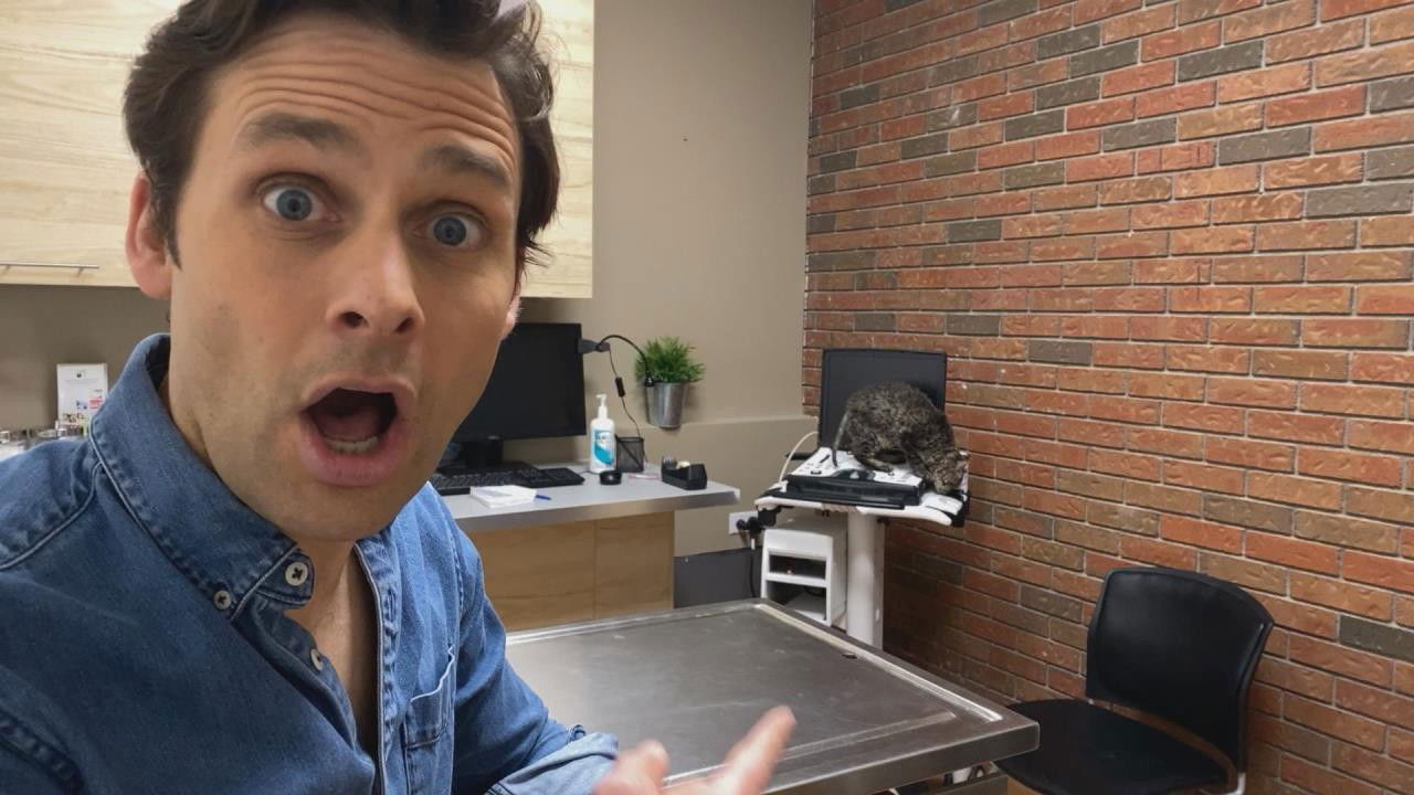 L'école à la maison — Épisode 22