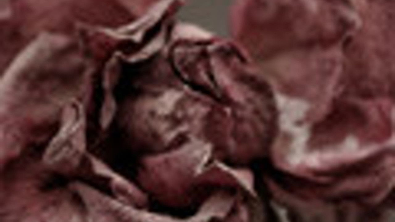 传奇故事 — Épisode 55