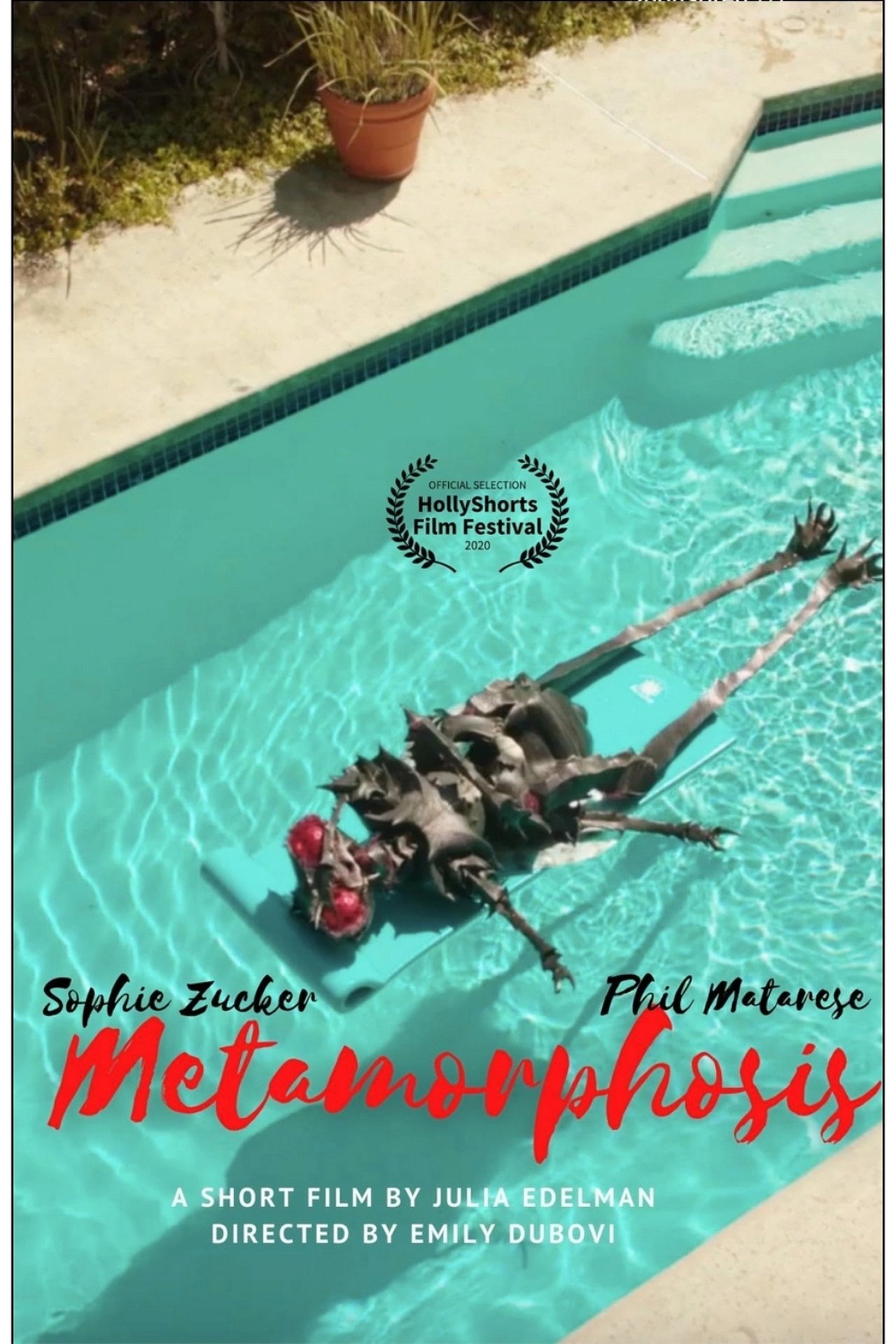 Metamorphosis Metamorphosis