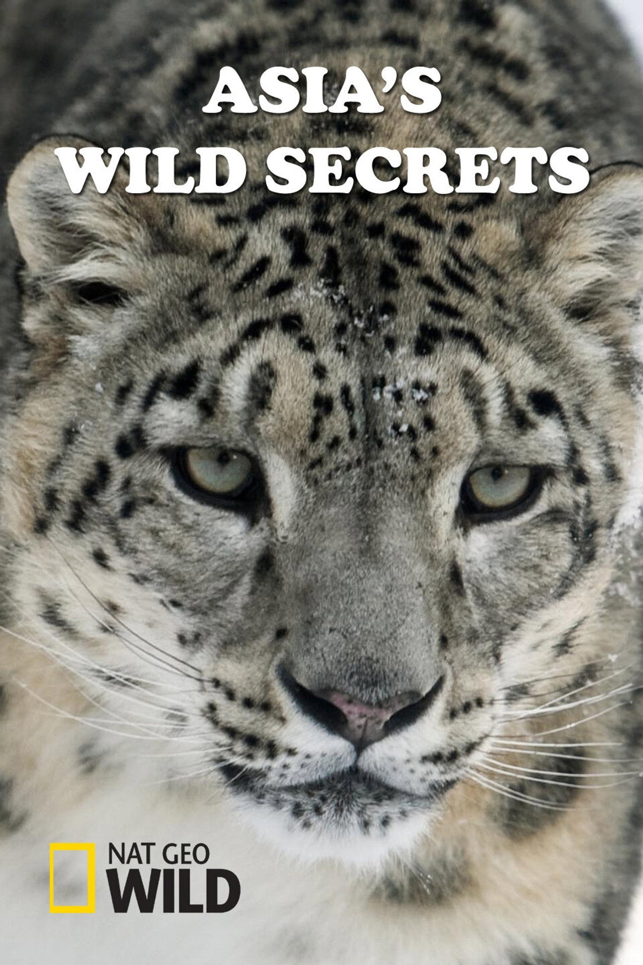 Asia's Wild Secrets (2021)