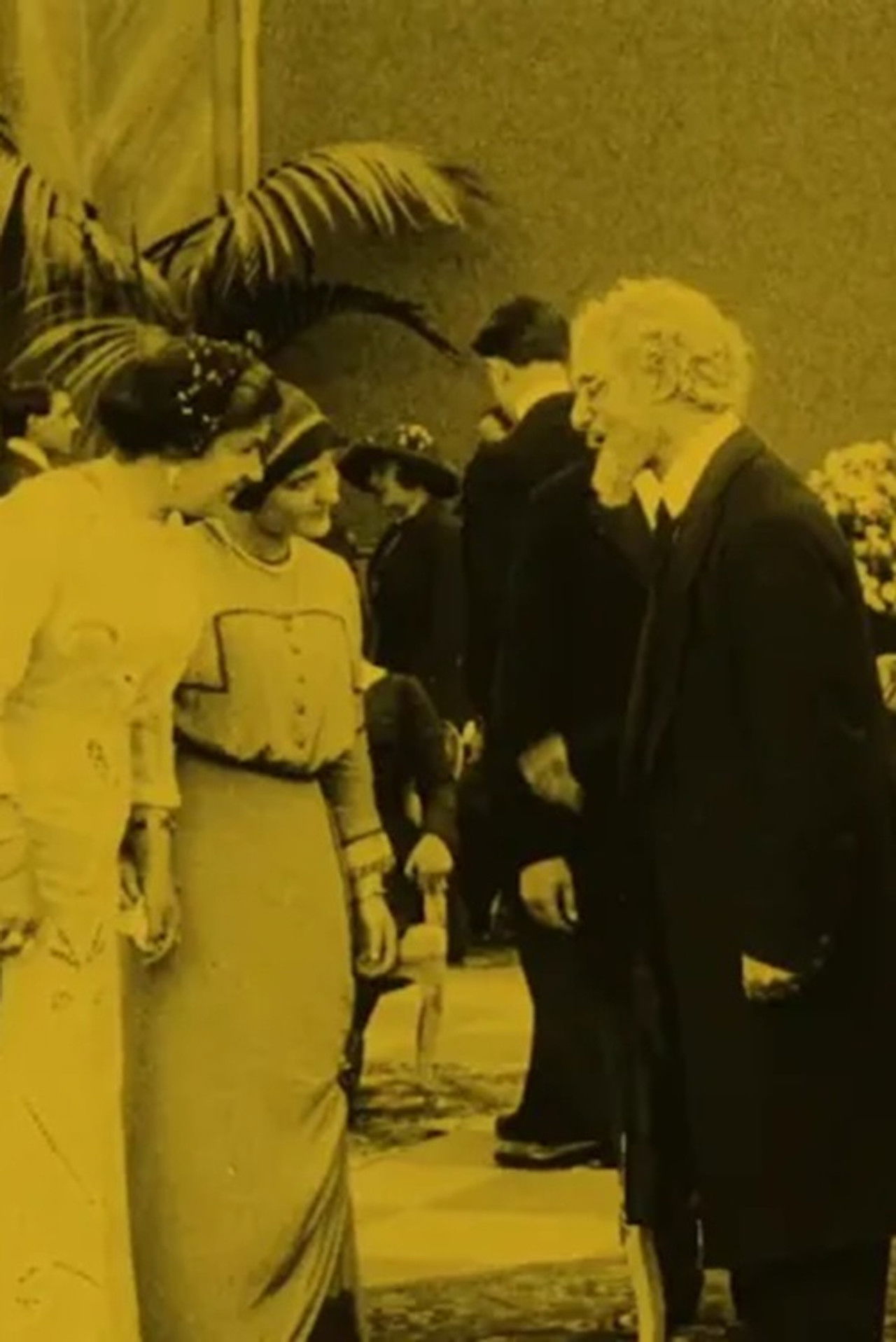 The Sign of the Black Lily Backdrop