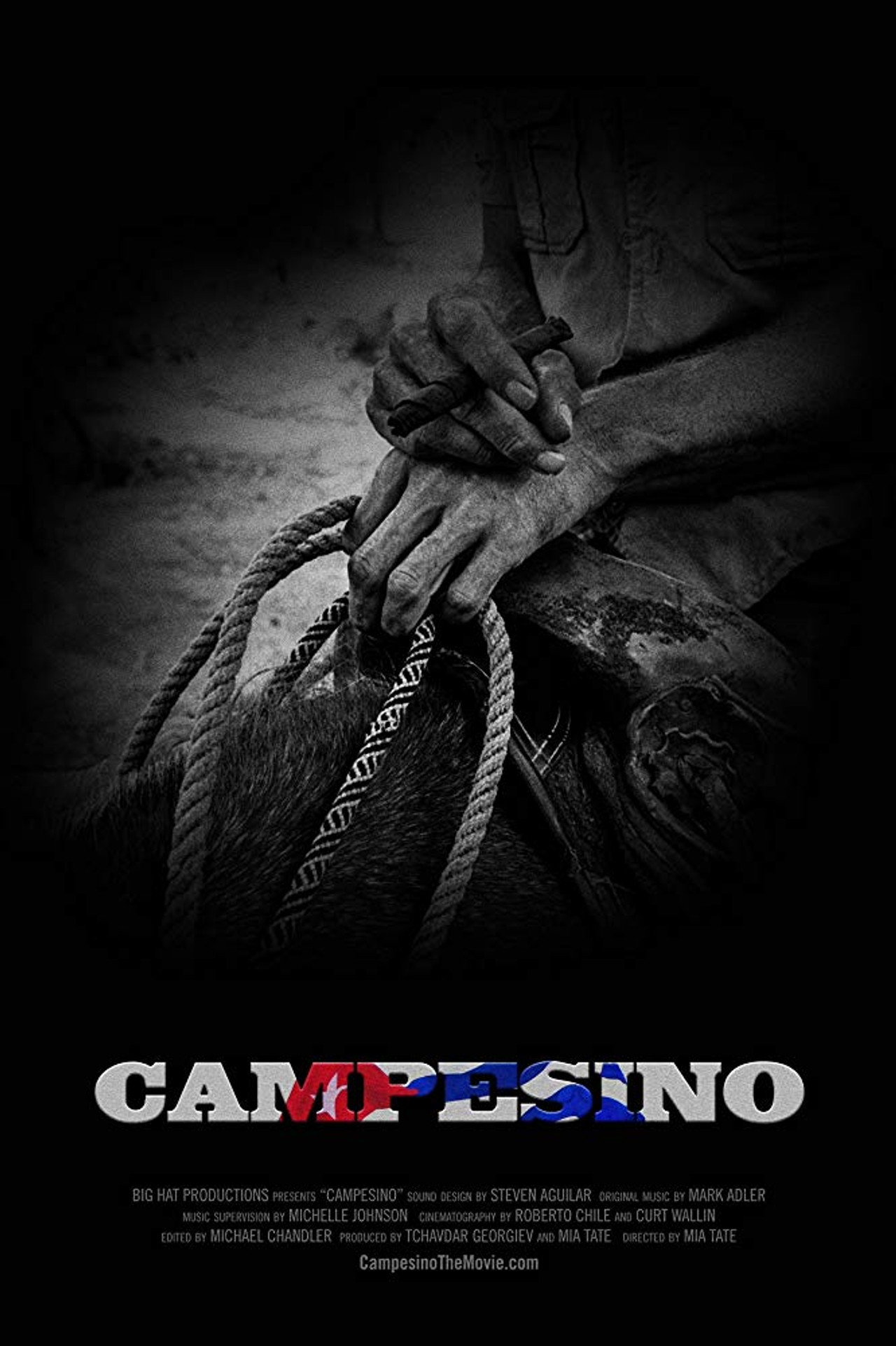 Campesino filmaffisch