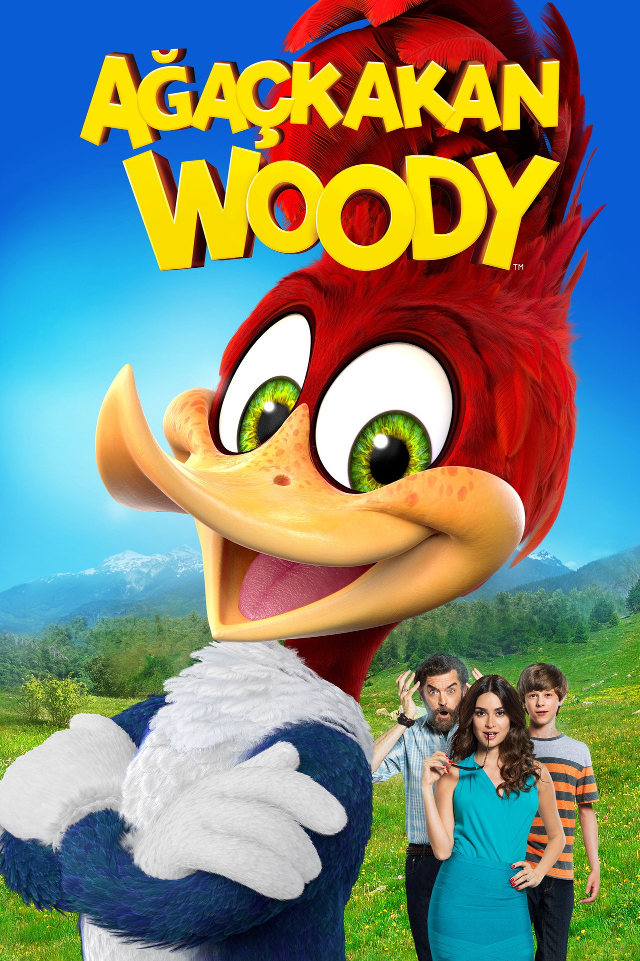 Ağaçkakan Woody Poster