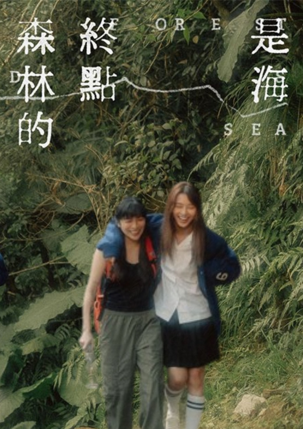 森林的終點是海 filmaffisch